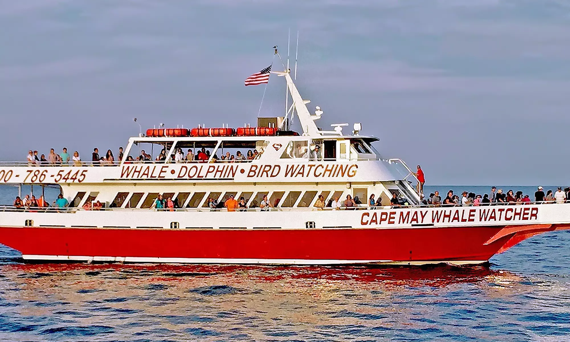 Cape May Whale Watch & Research Center